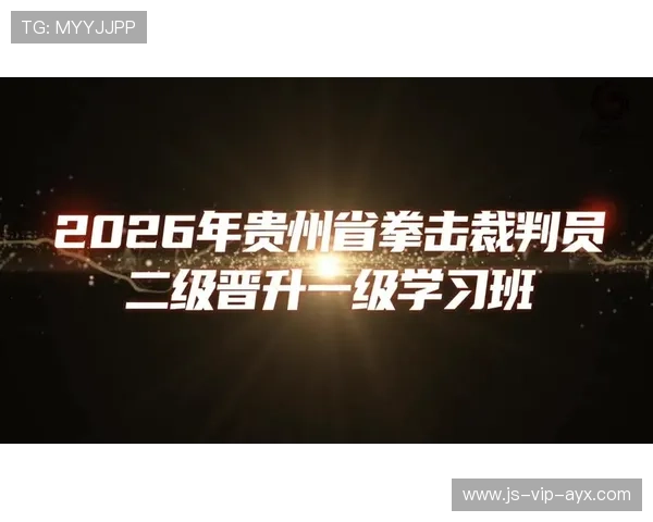 国际拳击裁判电子打分系统培训班开班，拳击裁判等级划分